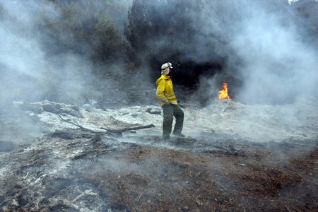 KKL-JNF Photo Archive